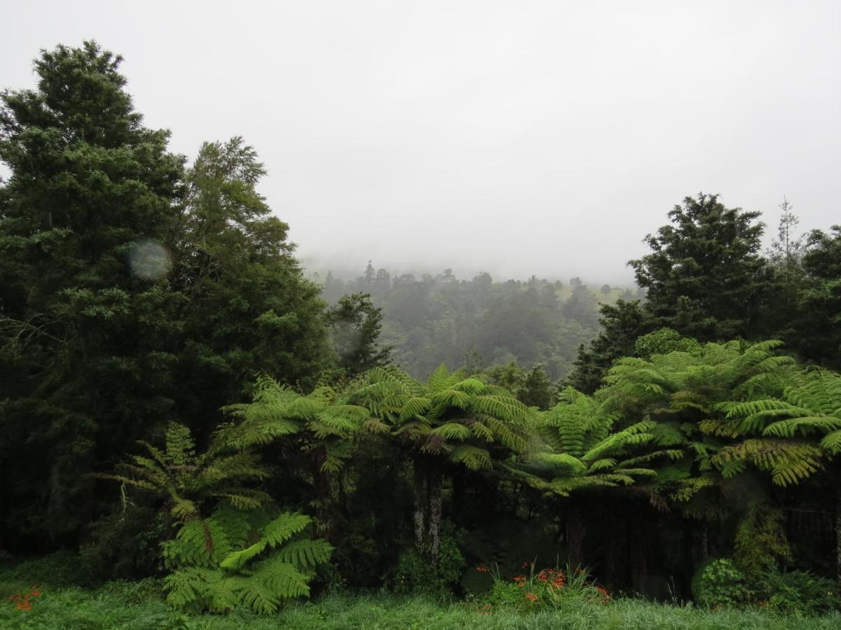 Crown Ridge Miners Cottage Karangahake Eksteriør billede