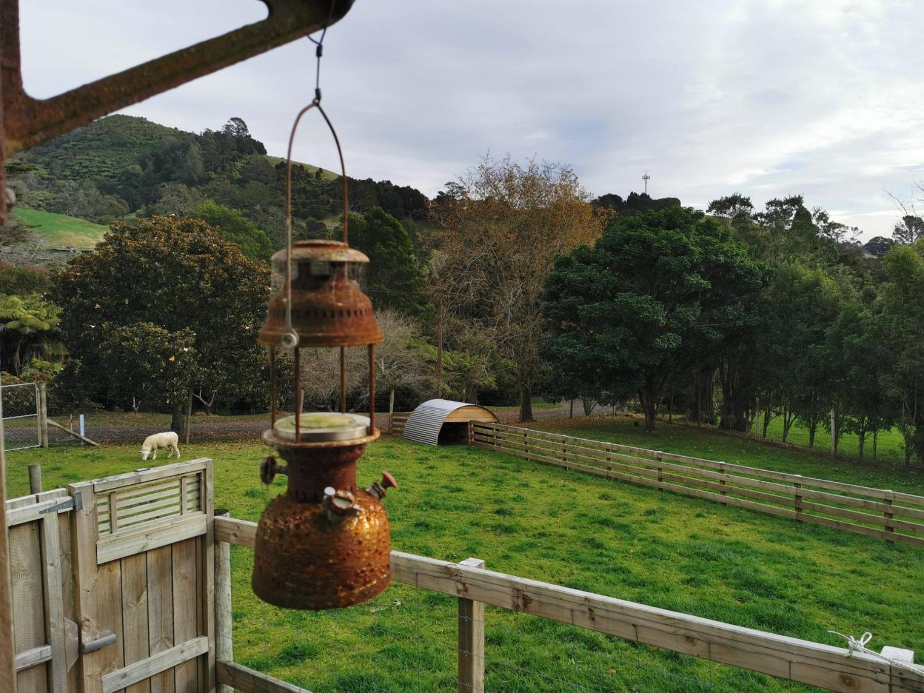 Crown Ridge Miners Cottage Karangahake Eksteriør billede